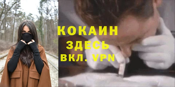 прущие грибы Володарск