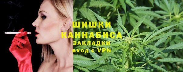 прущие грибы Володарск