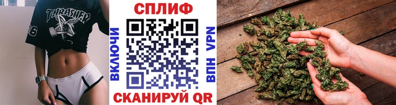 Конопля семена  сайты даркнета наркотические препараты  Волгореченск  цена наркотик 